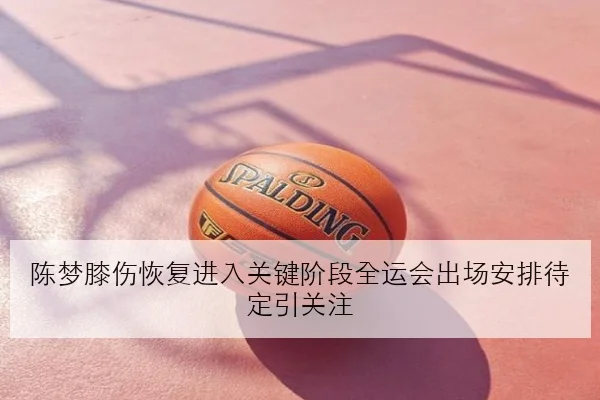 陈梦膝伤恢复进入关键阶段全运会出场安排待定引关注